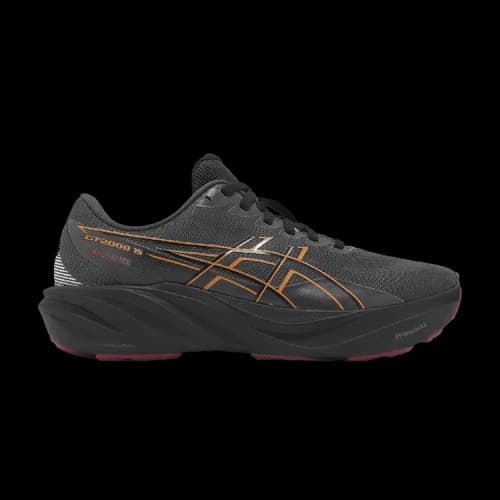 ASICS GT 2000 15 GTX 'Graphite Grey Black'