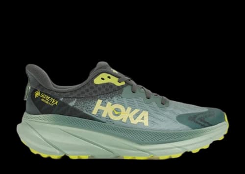 Hoka One One Challenger ATR 7 Gore-Tex Trellis Balsam Green (Women's)