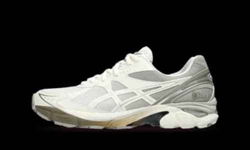 ASICS GT-2160 DIME Arctic Wolf