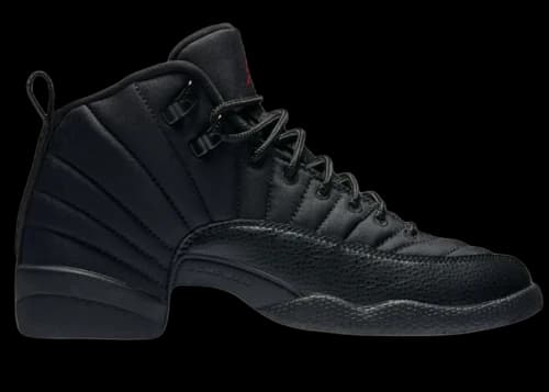 Jordan 12 Retro Nylon (GS)