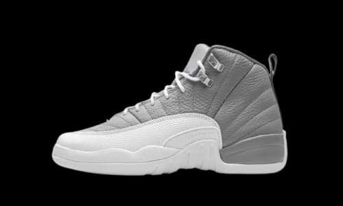 Jordan 12 Retro Stealth (GS)