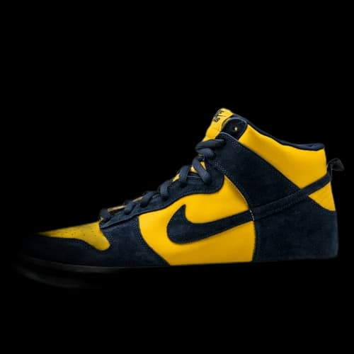 Nike SB Dunk High Pro Michigan (2005)