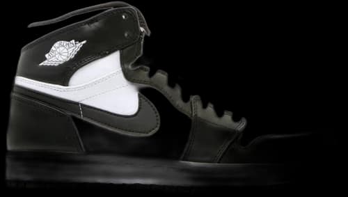 Jordan 1 Retro White Black CDP (2008)