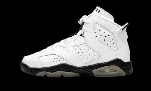 Jordan 6 Retro Alligator (GS)