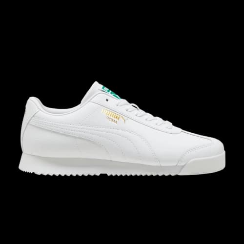 Roma 24 'White Archive Green'