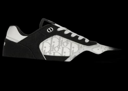 Dior B27 Low White Black Denim