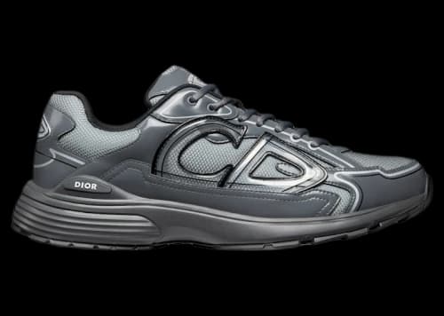 Dior B30 Light Gray Gray