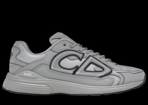 Dior B30 Gray