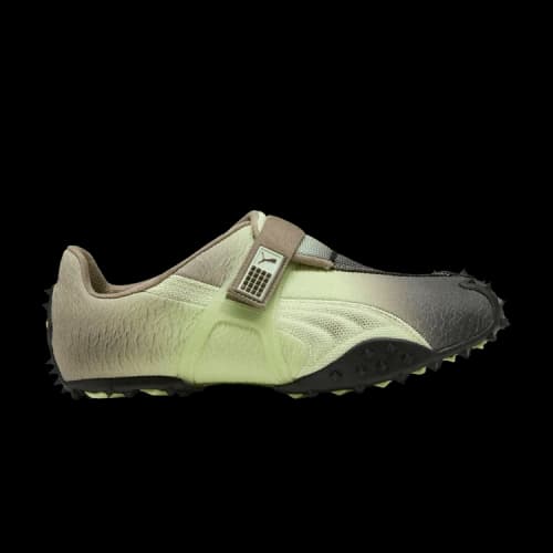 Puma RPT-2 Biology Experiment Wabi-Sabi