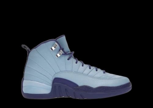Jordan 12 Retro Hornets (GS)