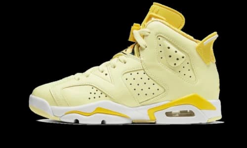 Jordan 6 Retro Dynamic Yellow Floral (GS)