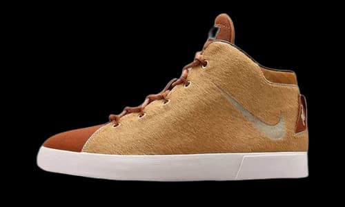Nike LeBron 12 NSW Lion's Mane