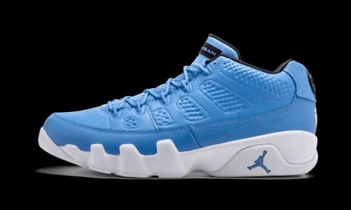 Jordan 9 Retro Low Pantone