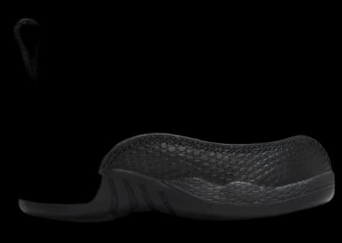 Jordan 12 Retro Taxi Flip (TD)