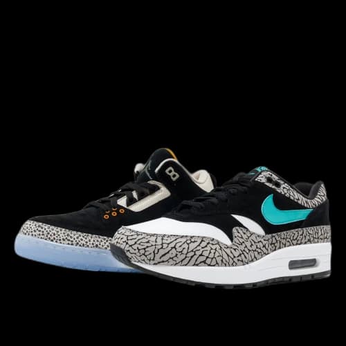 Jordan 3 Retro & Nike Air Max 1 atmos Pack