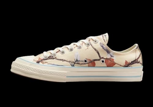 Converse Chuck Taylor All Star 70 Ox Golf Wang Owl Camo