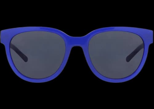 Balenciaga Round-Frame Acetate Sunglasses Blue Blue Blue (BB0077SK-30008398-005)