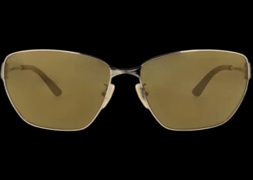Balenciaga Cat Eye-Frame Metal Sunglasses Gold Gold Bronze (BB0337SK-30014926-003)