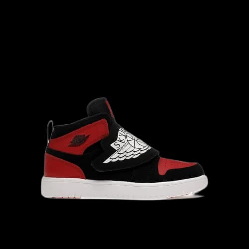 Sky Jordan 1 Bred (PS)