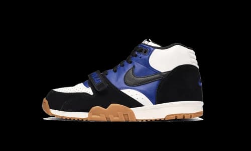 Nike SB Air Trainer 1 Polar Skate Co