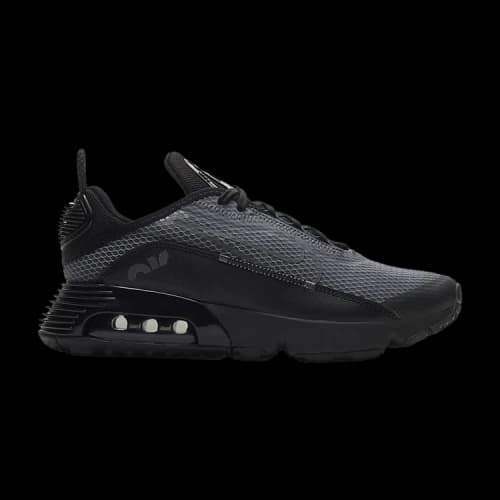 Nike Air Max 2090 Black Anthracite (GS)