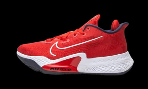 Nike Air Zoom BB NXT Olympics (2020)