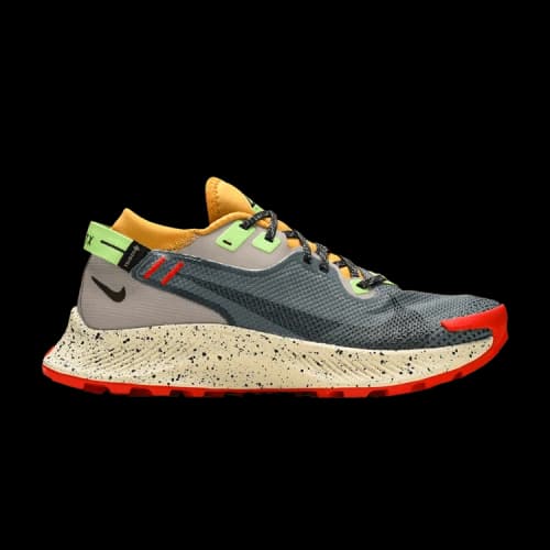 Nike Pegasus Trail 2 Gore-Tex Smoke Grey Bucktan