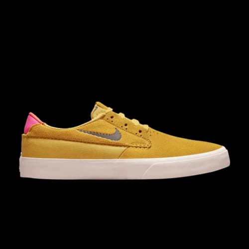 Nike SB Shane T Pollen