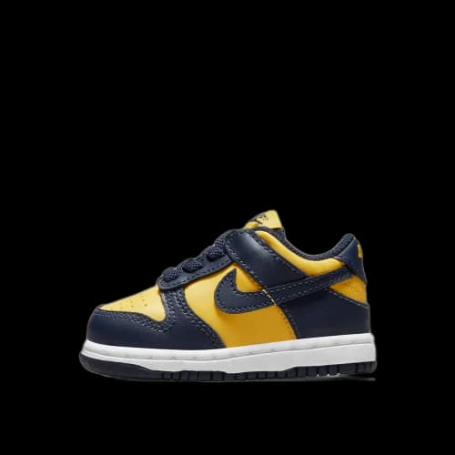 Nike Dunk Low Michigan (2021) (TD)