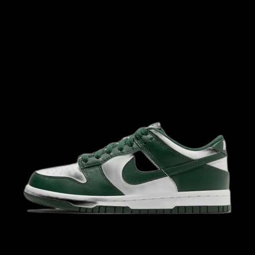 Nike Dunk Low Michigan State (GS)