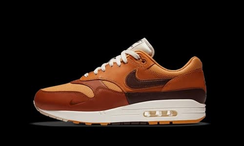 Nike Air Max 1 SNKRS Day Brown