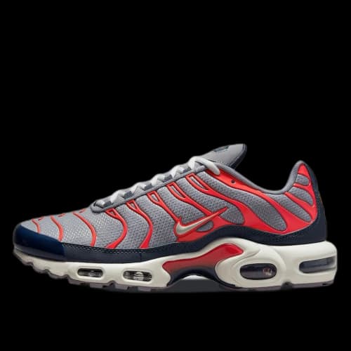Nike Air Max Plus USA Grey