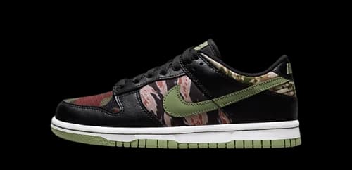 Nike Dunk Low Crazy Camo (GS)