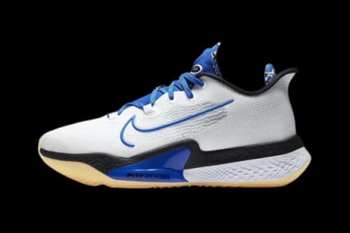 Nike Air Zoom BB NXT Sisterhood