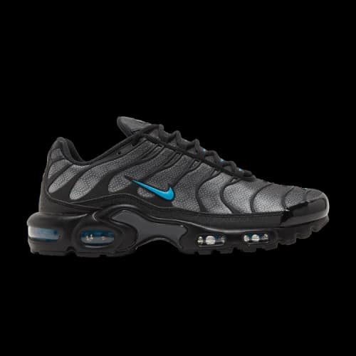 Nike Air Max Plus Black Hex