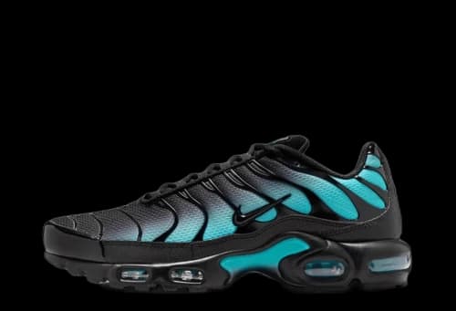 Nike Air Max Plus Black Dusty Cactus