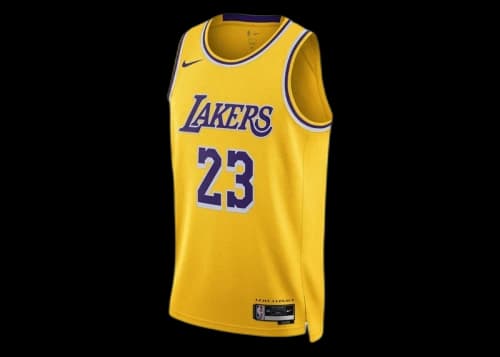 Nike NBA Los Angeles Lakers Icon Edition LeBron James 2022/23 Jersey Amarillo