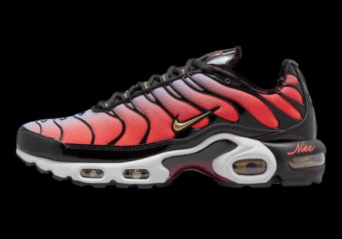 Nike Air Max Plus Sisterhood (Women's)