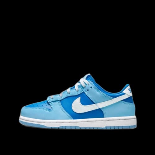 Nike Dunk Low Argon (2022) (PS)