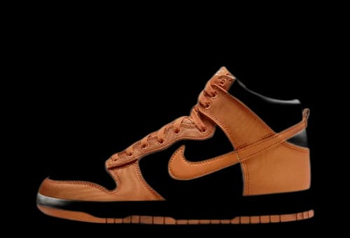 Nike Dunk High Monarch