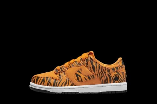 Nike Dunk Low Next Nature Tiger Stripes (PS)