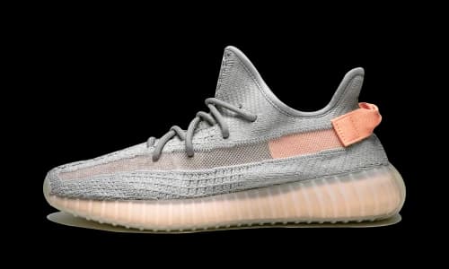adidas Yeezy Boost 350 V2 True Form
