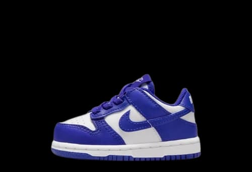 Nike Dunk Low Concord (TD)