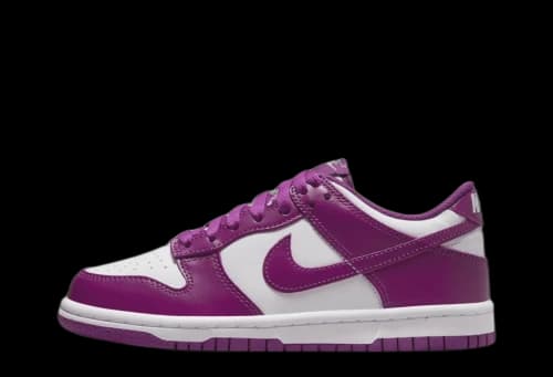 Nike Dunk Low Viotech (GS)