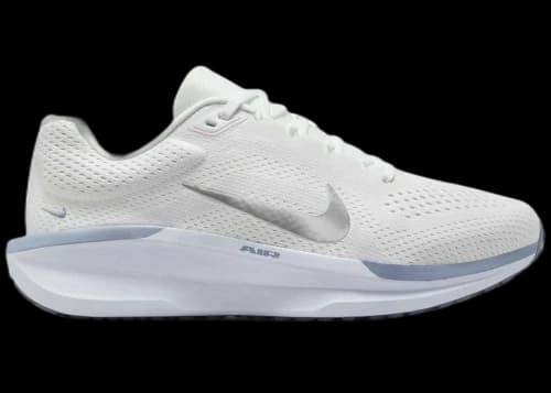 Nike Winflo 11 Summit White Metalic Silver (Women's)
