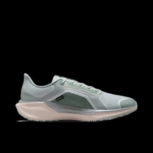 Nike Air Zoom Pegasus 41 Gore-Tex Light Pumice Metallic Silver