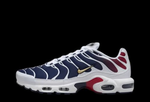 Nike Air Max Plus PSG