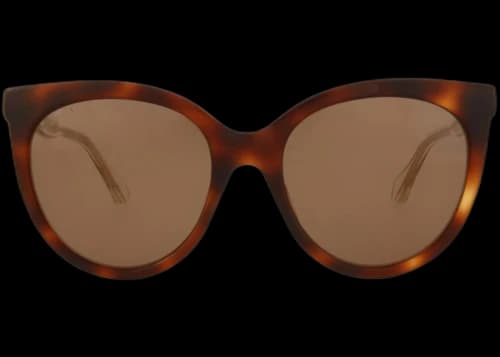 Gucci Cat Eye-Frame Acetate Sunglasses Havana Crystal Brown (GG0565S-30008159-002)