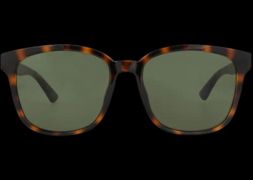 Gucci Square-Frame Injection Sunglasses Havana Havana Green (GG0637SK-30008629-002)