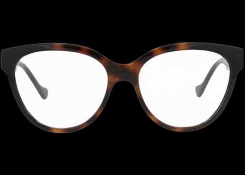 Gucci Square-Frame Injection Optical Frames Havana Black Transparent (GG1024O-30011776-005)